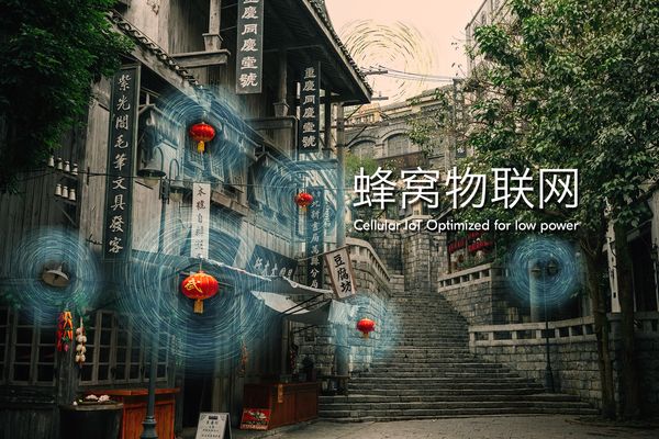 利用 LTE-M 和 NB-IoT 成功实现独特的蜂窝物联网功能